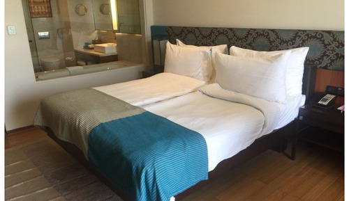 Chambre Supérieure, 1 très grand lit