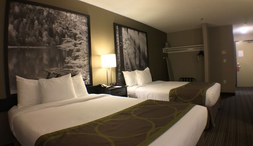 Chambre Standard, 2 grands lits