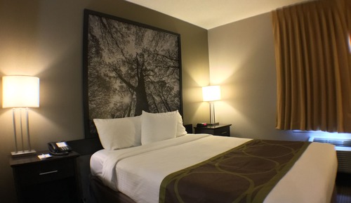 Suite, 1 grand lit