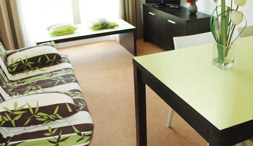 Appartement T2 pour 4 personnes