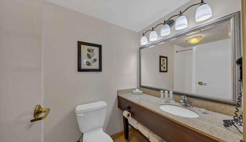 Suite Studio, 1 très grand lit et 1 canapé-lit, non-fumeurs