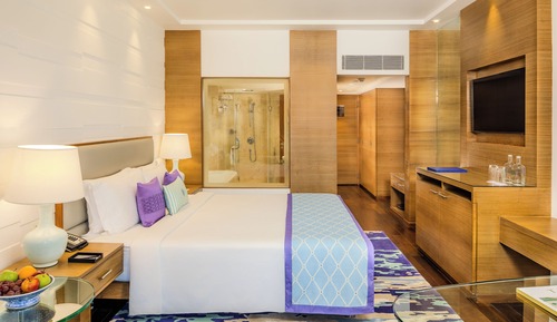 Deluxe Room City View Queen Bed