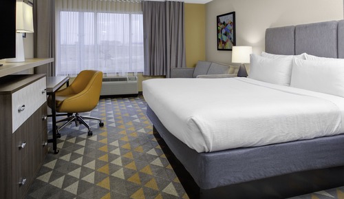 Chambre Standard, 1 très grand lit (Mobility, Roll-In Shower)