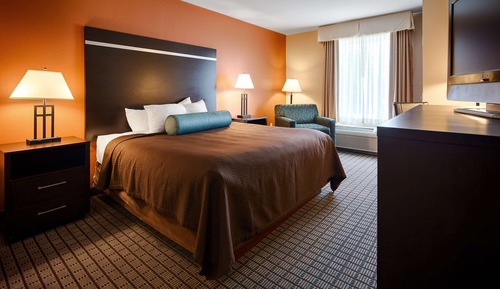 Chambre Standard, 1 très grand lit, non-fumeurs (Walk-in Shower)