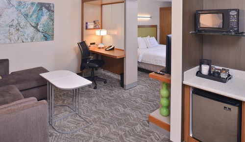Suite Studio, 1 très grand lit (Mobility/Hearing Accessible, Tub)