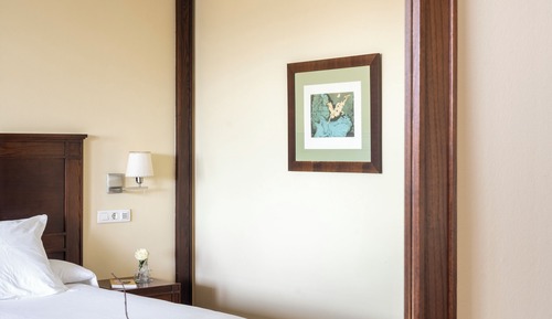 Chambre avec lits jumeaux (3 adults)