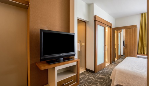 Suite, 1 très grand lit et 1 canapé-lit (Mobility/Hearing Accessible, Tub)