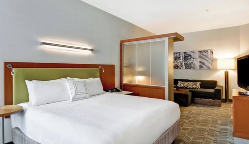 Studio, 1 très grand lit et 1 canapé-lit, non-fumeurs (Mobility Accessible, Roll-In Shower)