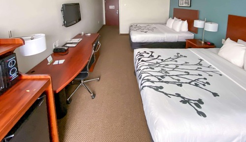 Chambre Standard, 2 grands lits