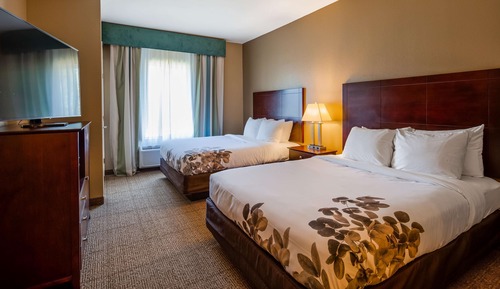 Suite, 2 grands lits, non-fumeurs, four à micro-ondes (Pet Friendly;with Sofabed)