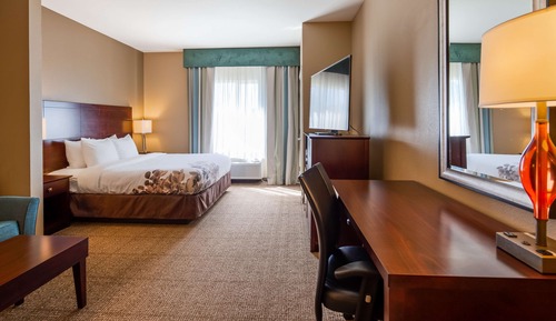 Suite, 1 très grand lit, non-fumeurs, four à micro-ondes (Pet Friendly;with Sofabed)