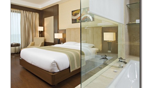 Chambre Double « Premier »