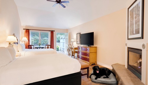 Chambre Standard, 2 grands lits, animaux de compagnie acceptés