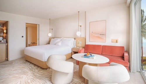 Chambre, 1 très grand lit et 1 canapé-lit, douche accessible en fauteuil roulant