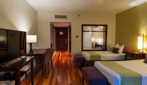 Chambre Triple Junior