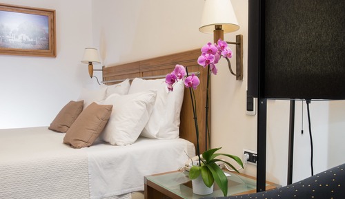 Chambre Familiale, vue jardin, en bord de piscine