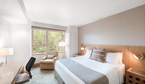 Chambre Deluxe, 1 très grand lit