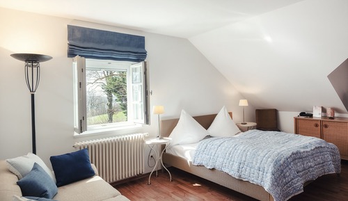 Suite Familiale, vue partielle sur le lac