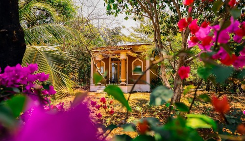 Villa Deluxe, vue jardin