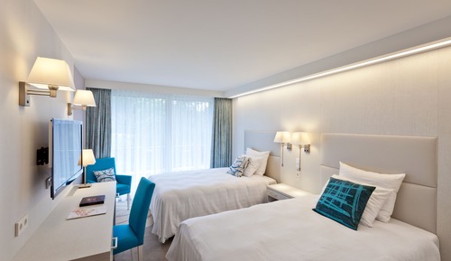 Chambre Exécutive avec lits jumeaux (Wellness & Fitness Access)