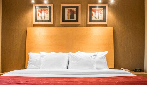 Suite, 1 très grand lit et 1 canapé-lit, non-fumeurs