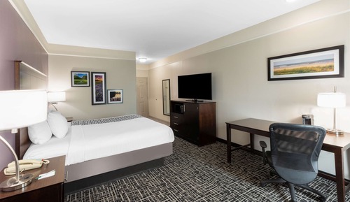 Chambre Deluxe, 1 très grand lit, non-fumeurs (Mobility/Hearing, Roll-In Shower)