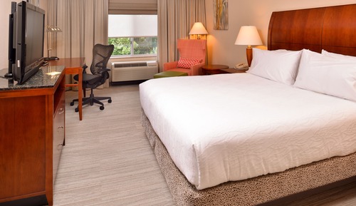 Chambre, 1 très grand lit, accessible aux personnes à mobilité réduite (3x3 Shower)