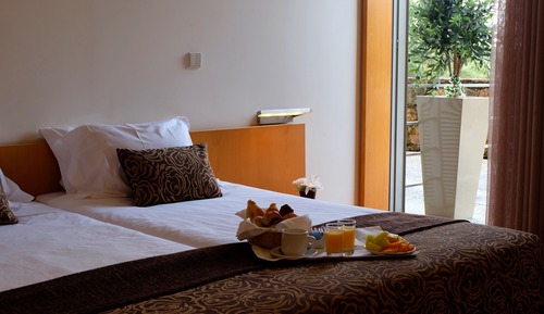 Chambre Double ou avec lits jumeaux, vue jardin