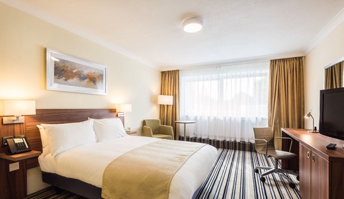 Chambre Standard, 1 grand lit (Walk-in Shower)