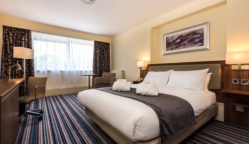 Chambre Standard, 1 lit double et 1 canapé-lit