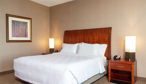 Chambre, 1 très grand lit (Drinks & Snacks)