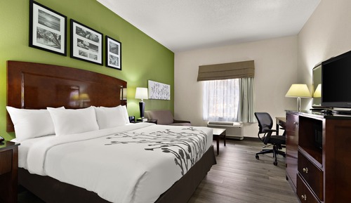 Suite, 1 très grand lit, accessible aux personnes à mobilité réduite, non-fumeurs (Roll-In Shower)