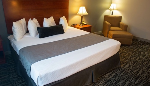 Chambre Standard, 1 très grand lit, non-fumeurs, réfrigérateur et four à micro-ondes