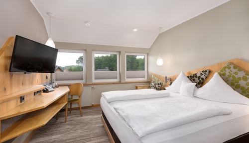 Chambre Double Confort, 1 lit double