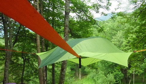 Tree House Panoramique, plusieurs lits, non-fumeurs