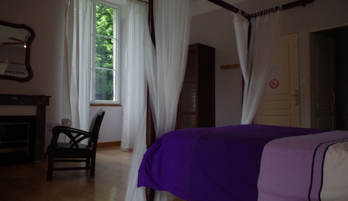 Chambre Double Standard (Violette)