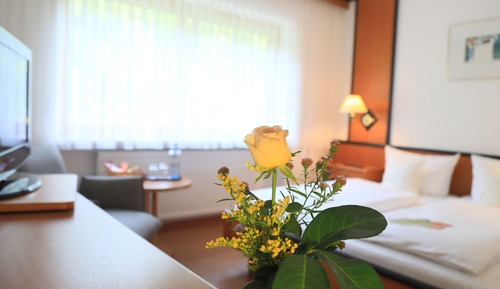 Chambre Double Standard