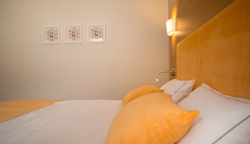 Chambre Double Standard, accessible aux personnes à mobilité réduite, salle de bains privée