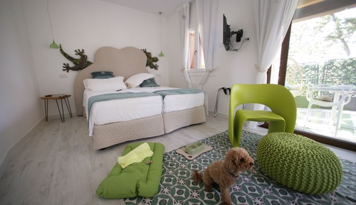 Chambre Confort