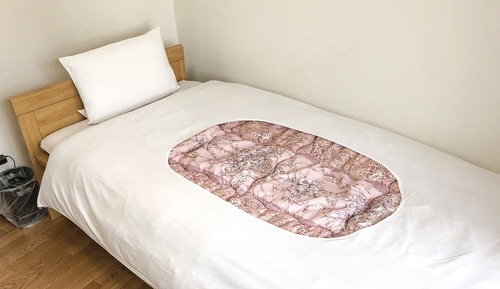 Chambre Simple, non-fumeurs (smoking only balcony,last C-IN 10PM)