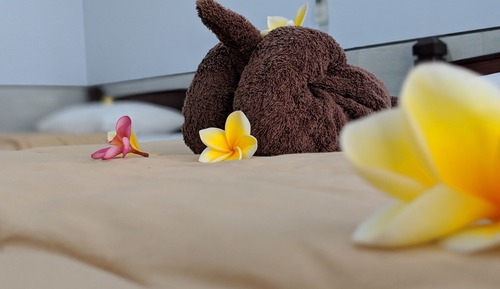 Chambre Deluxe avec lits jumeaux, balcon, vue piscine