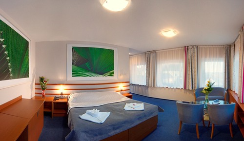 Chambre Supérieure Double ou avec lits jumeaux, 1 grand lit, non-fumeurs, vue cour intérieure