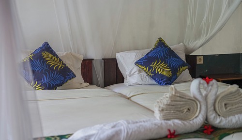 Chambre Deluxe avec lits jumeaux, 2 lits une place, côté jardin