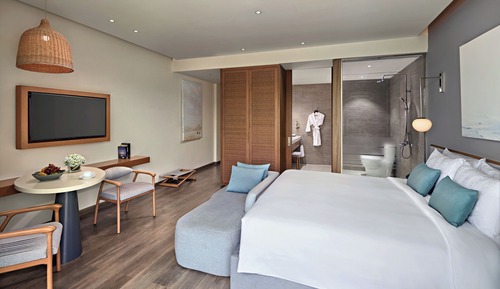 Chambre Standard, 1 très grand lit