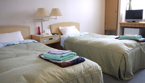 Chambre avec lits jumeaux, non-fumeurs (Western Style Room)