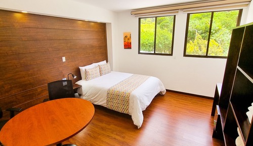 Chambre Double Standard, vue montagne