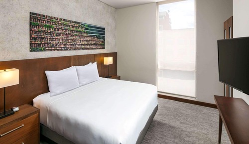 Suite, 1 très grand lit et 1 canapé-lit, accessible aux personnes à mobilité réduite (Shower)