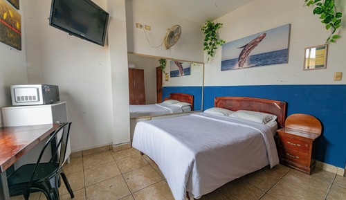 Chambre Double Standard