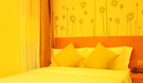 Room, 1 King Bed