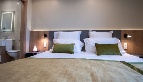 Chambre Confort Double ou avec lits jumeaux, salle de bains privée (Chambre Lion)